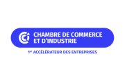 CCI de France