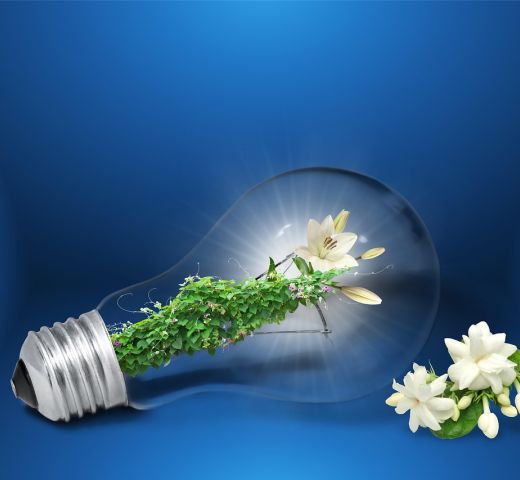 Conférenciers experts en développement durable