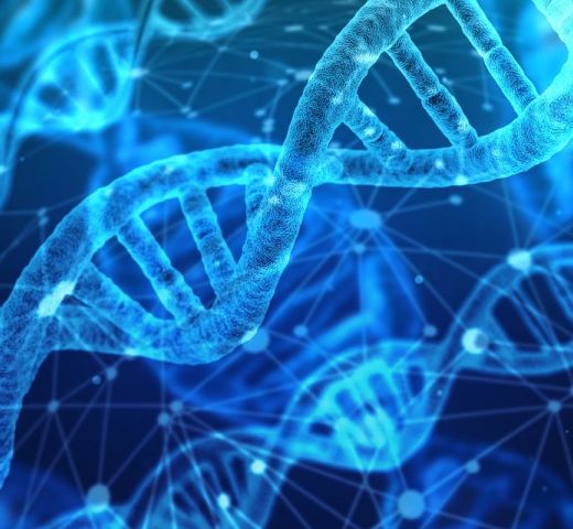 Molécule d'ADN illustrant le thème de la physique